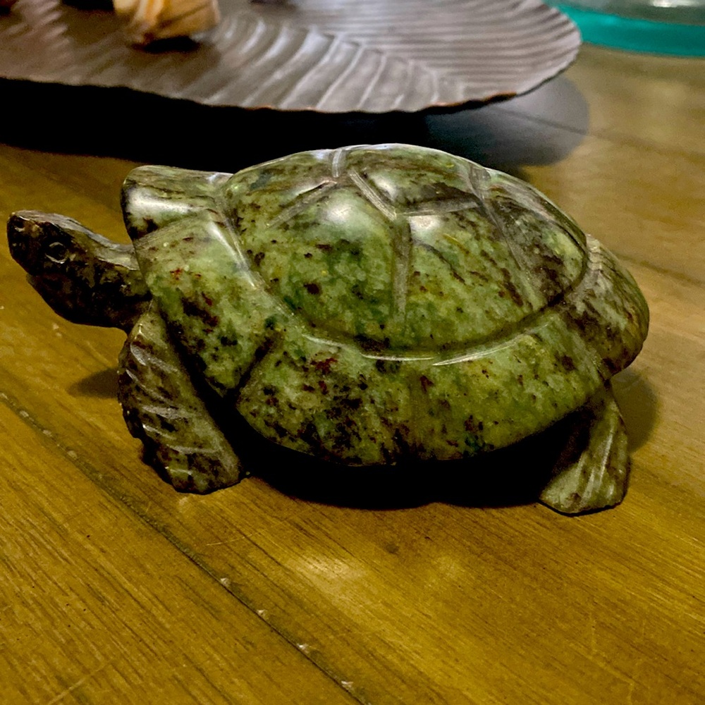 Fruit serpentine turtle.